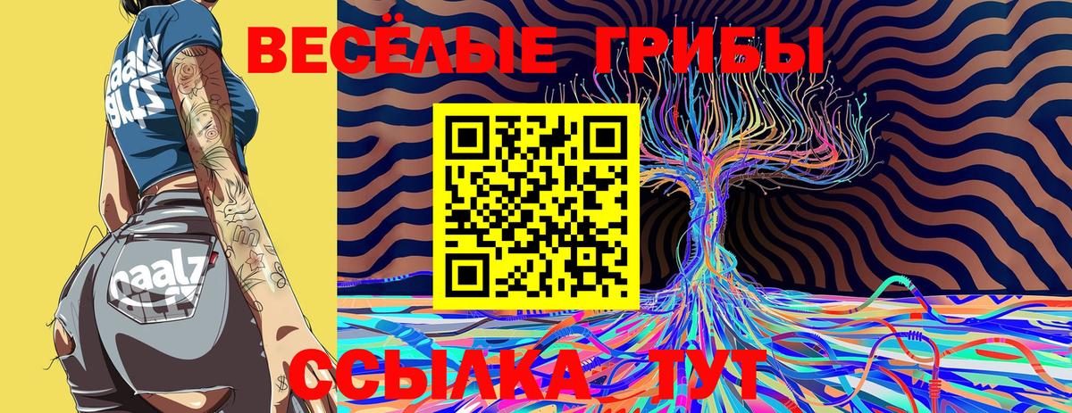 Солнечногорск  Галлюциногенные грибы мухоморы  Вход с VPN 