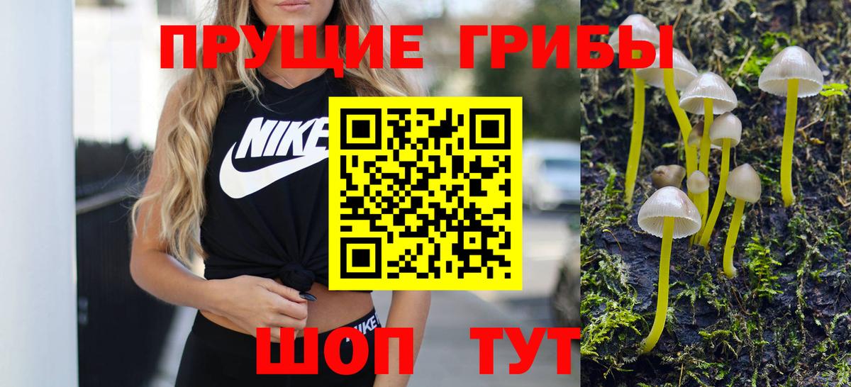 Галлюциногенные грибы ЛСД Солнечногорск